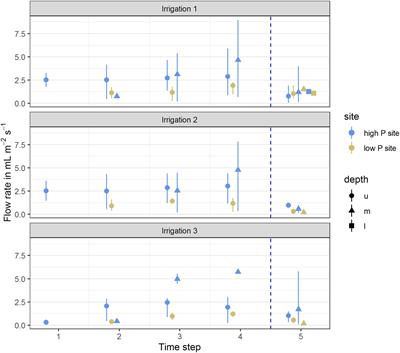 Soil Phosphorus Translocation via Preferential Flow Pathways: A Comparison of Two Sites With Different Phosphorus Stocks